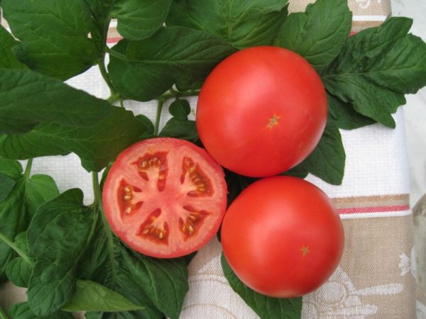 Kak-pravilno-sobrat-semena-pomidorov-na-rassadu