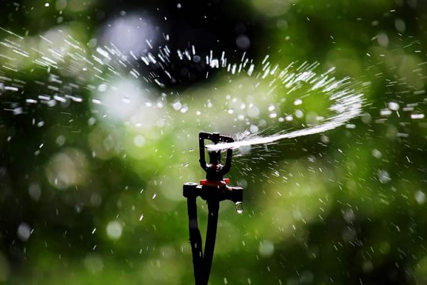 Sprinkler_Irrigation_wiki
