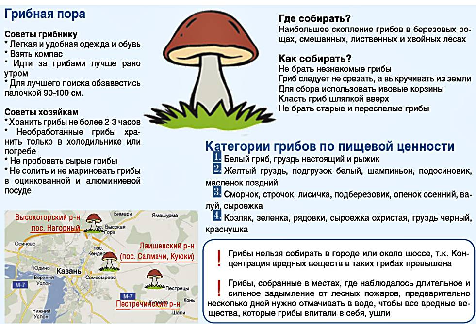 Картинки по запросу отравление грибами