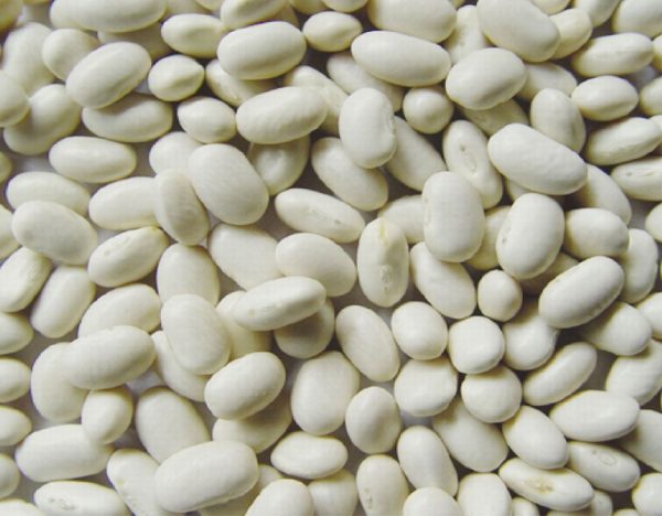 white-kidney-beans-japnese-type