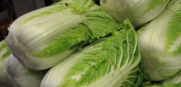 1431339956_chinese-cabbage