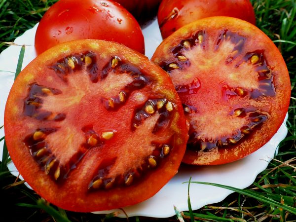 tomat-pol-robson