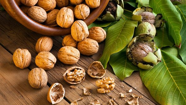 walnuts-benefits-superfood