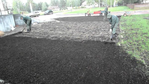 Газонная трава — когда сажать газон на даче, как правильно это делать?