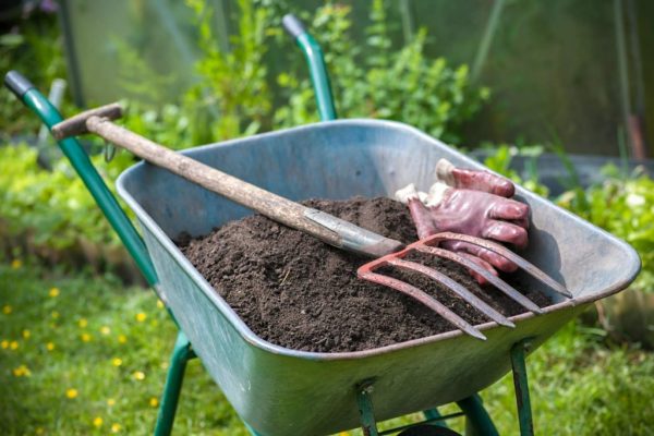 Как нужно правильно провести генеральную уборку на садовом участке весной?