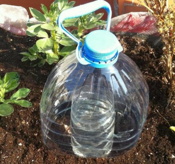 Капельный полив из пластиковых бутылок своими руками — всё гениально и просто!
