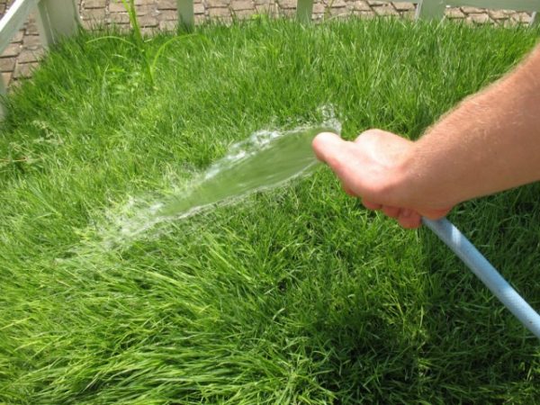 lawn-watering-2-640x480