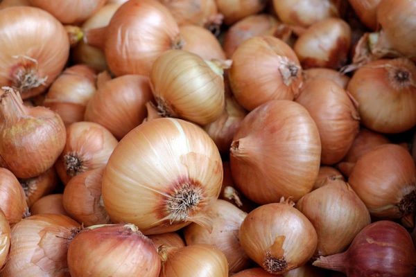 onions-1397037 1280-1200x800