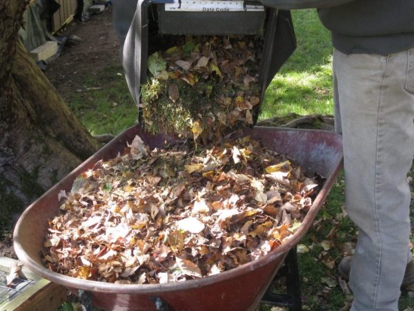 leaf-compost-04