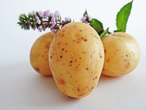 onebiglove ru-potatoes-448610-1920