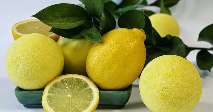 Картинки по запросу "Как вырастить лимон из косточки — мой работающий метод""