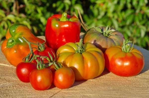 evrosemena-tomaty-i-pertcy-640x424-1
