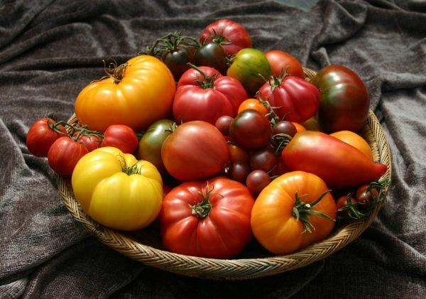 kakie-semena-tomatov-vyibrat-07