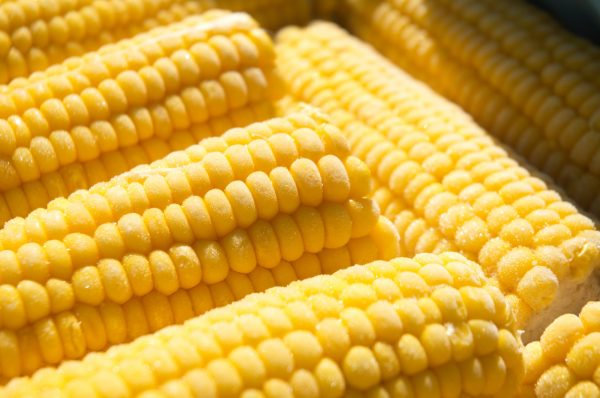 Как правильно выбрать кукурузу: советы по выбору кукурузы - Smak.ua