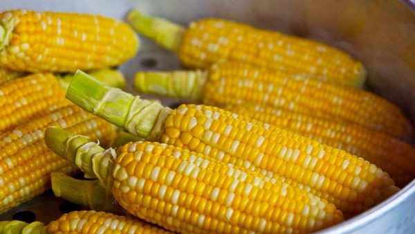 Интересные рецепты приготовления кукурузы