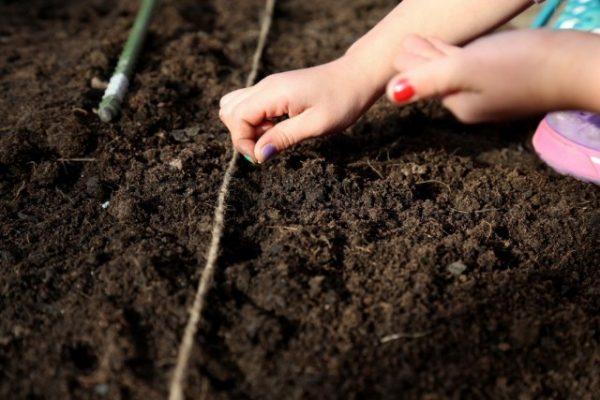 Planting-Seeds-02-640x427-1