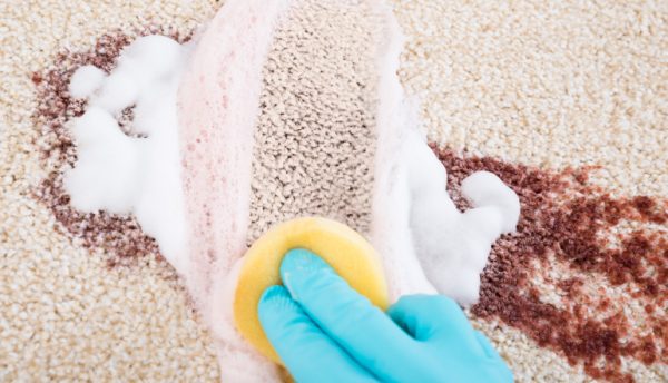 How to Clean the Most Common Carpet Stains - Fantastic Cleaners Blog