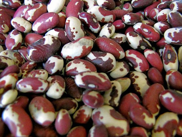 beans2