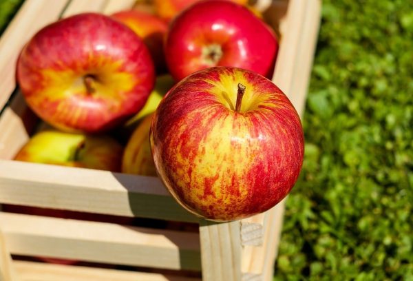 яблоки- способы длительного хранения в домашних условиях