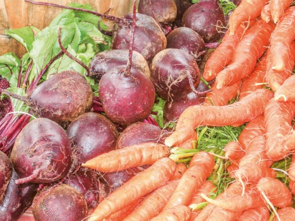 Хранить овощи можно и без погреба — Сайт газеты "РВС"